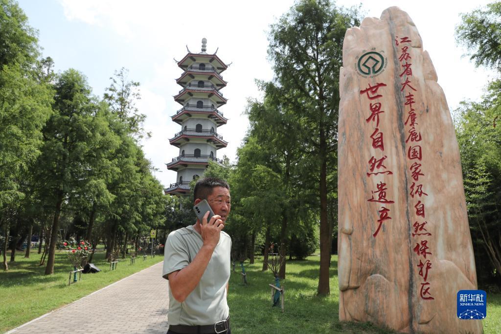 幸运28代理交易平台